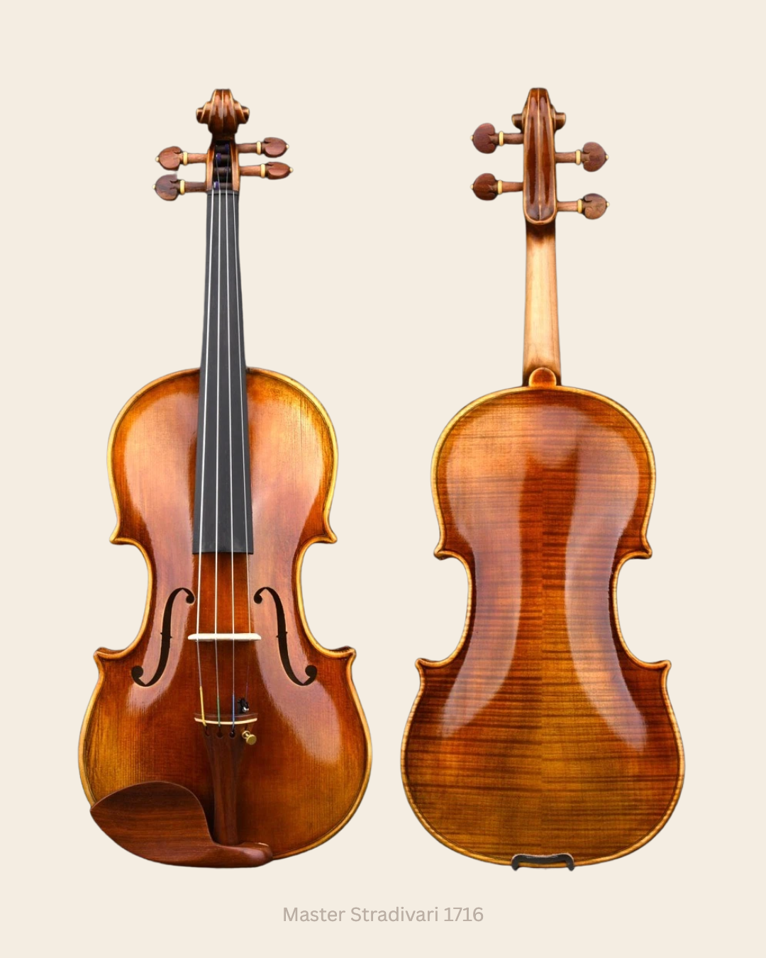 Violino Master Stradivari 1716